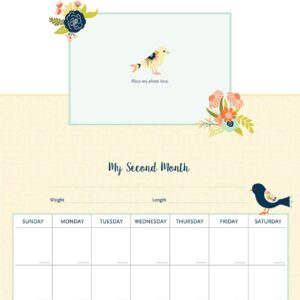 My Life as a Baby: A First-Year Calendar (Birds)