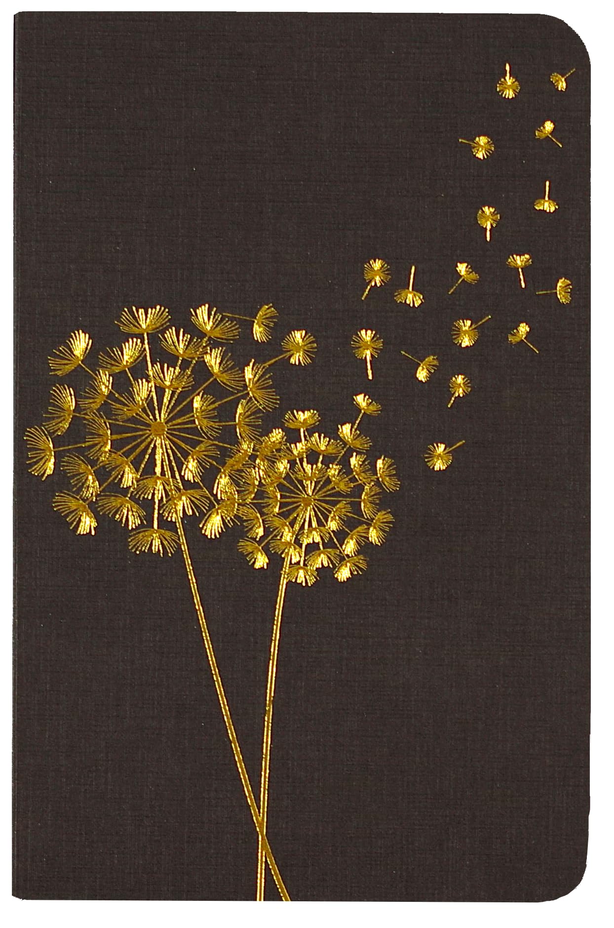 Dandelion Wishes Jotter Notebooks (set of 3)