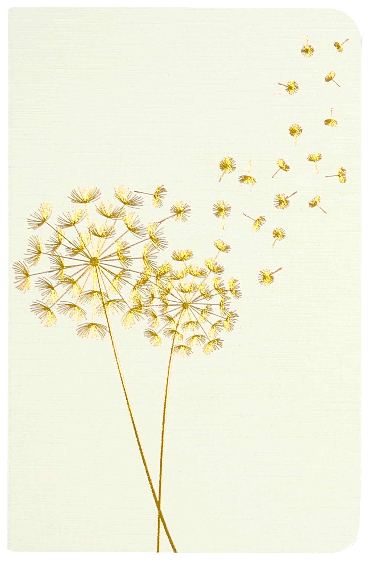 Dandelion Wishes Jotter Notebooks (set of 3)