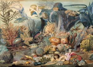 peter pauper press, inc. ocean life 1000 piece jigsaw puzzle