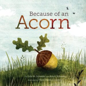 because of an acorn: (nature autumn books for children, picture books about acorn trees)