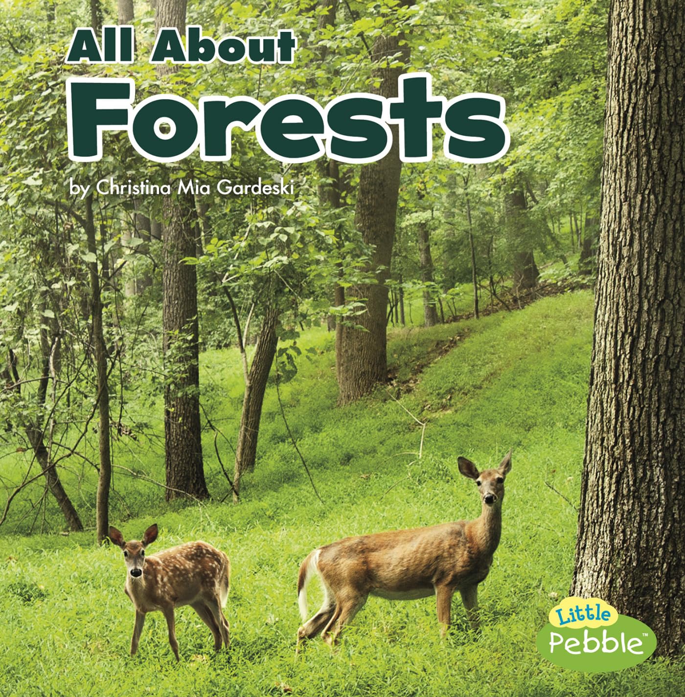 All About Forests (Habitats)