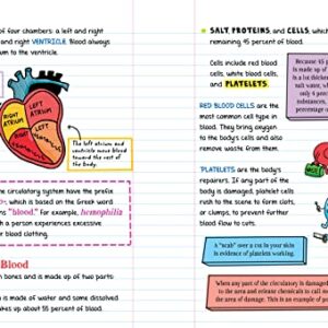 Workman Publishing Company - To Ace Biology in One Big Fat Notebook