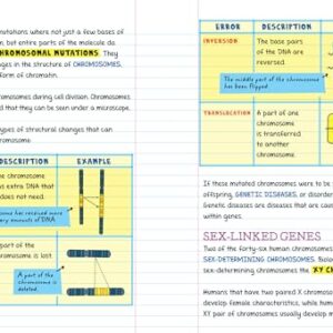 Workman Publishing Company - To Ace Biology in One Big Fat Notebook