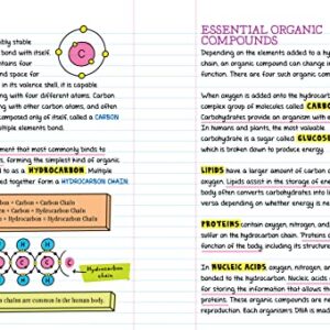 Workman Publishing Company - To Ace Biology in One Big Fat Notebook