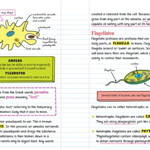 Workman Publishing Company - To Ace Biology in One Big Fat Notebook