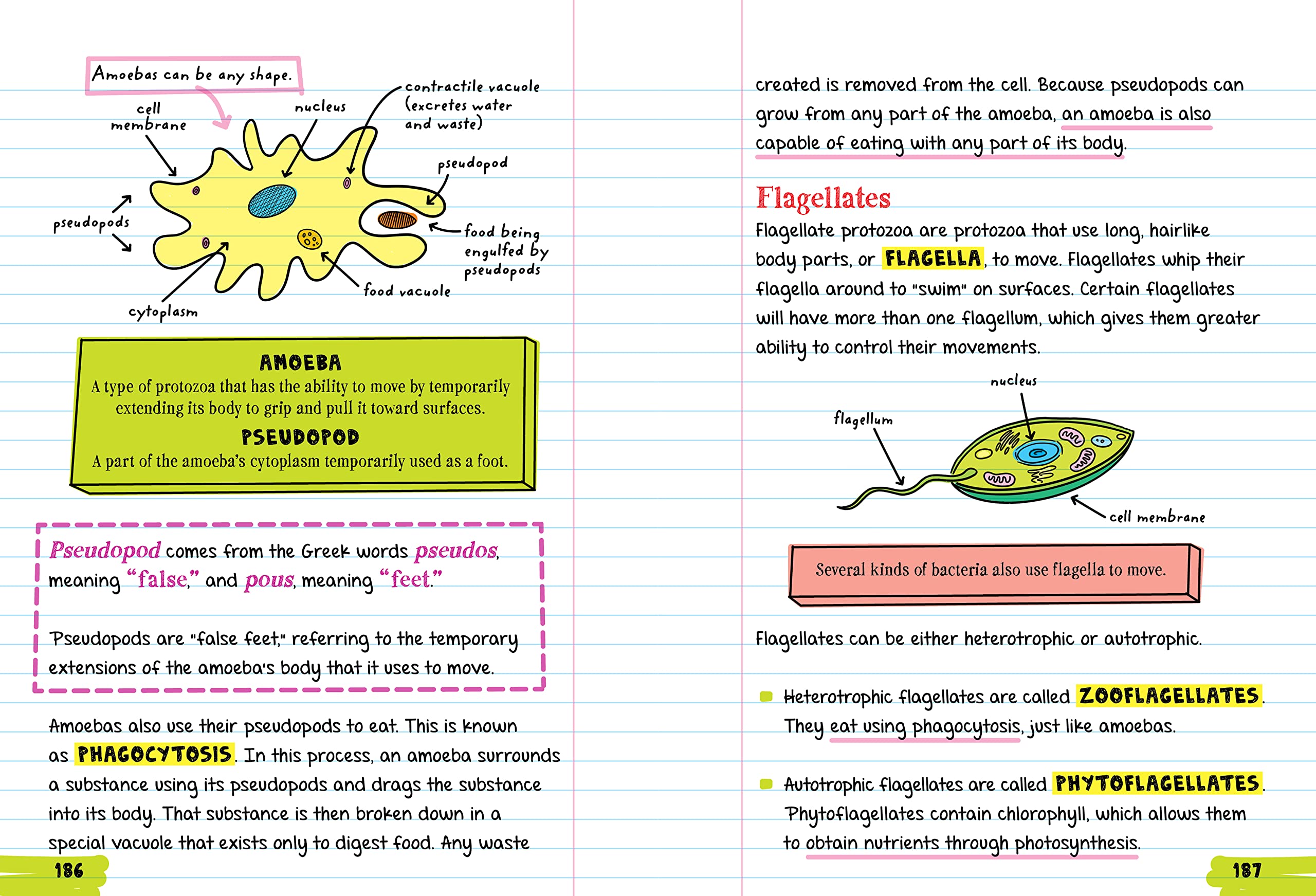 Workman Publishing Company - To Ace Biology in One Big Fat Notebook