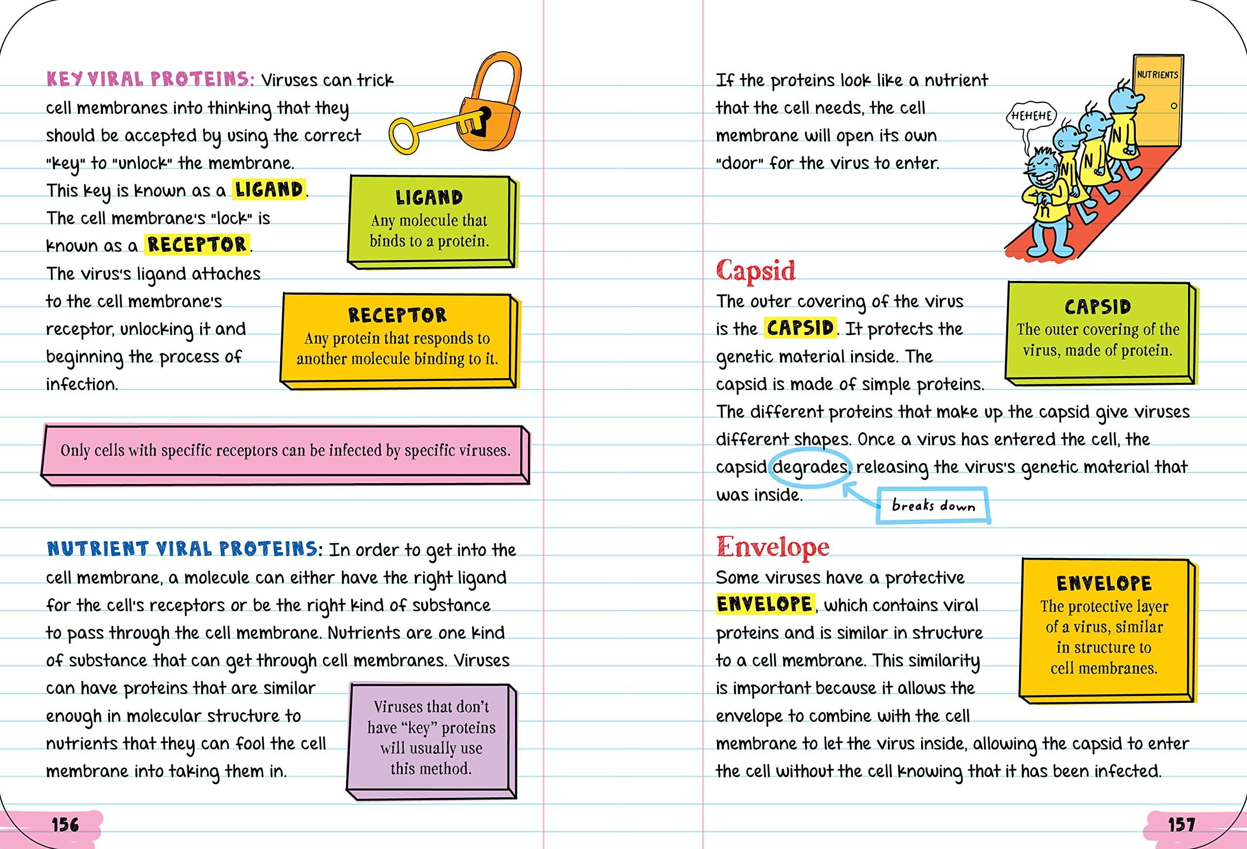 Workman Publishing Company - To Ace Biology in One Big Fat Notebook