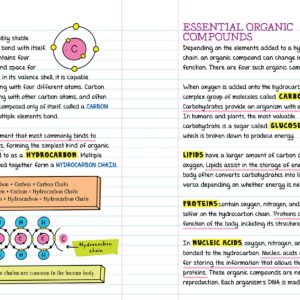 Workman Publishing Company - To Ace Biology in One Big Fat Notebook