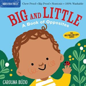 indestructibles: big and little: a book of opposites: chew proof · rip proof · nontoxic · 100% washable (book for babies, newborn books, safe to chew)