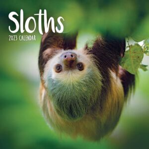 2023 sloths mini calendar