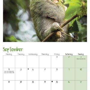 2023 Sloths Mini Calendar