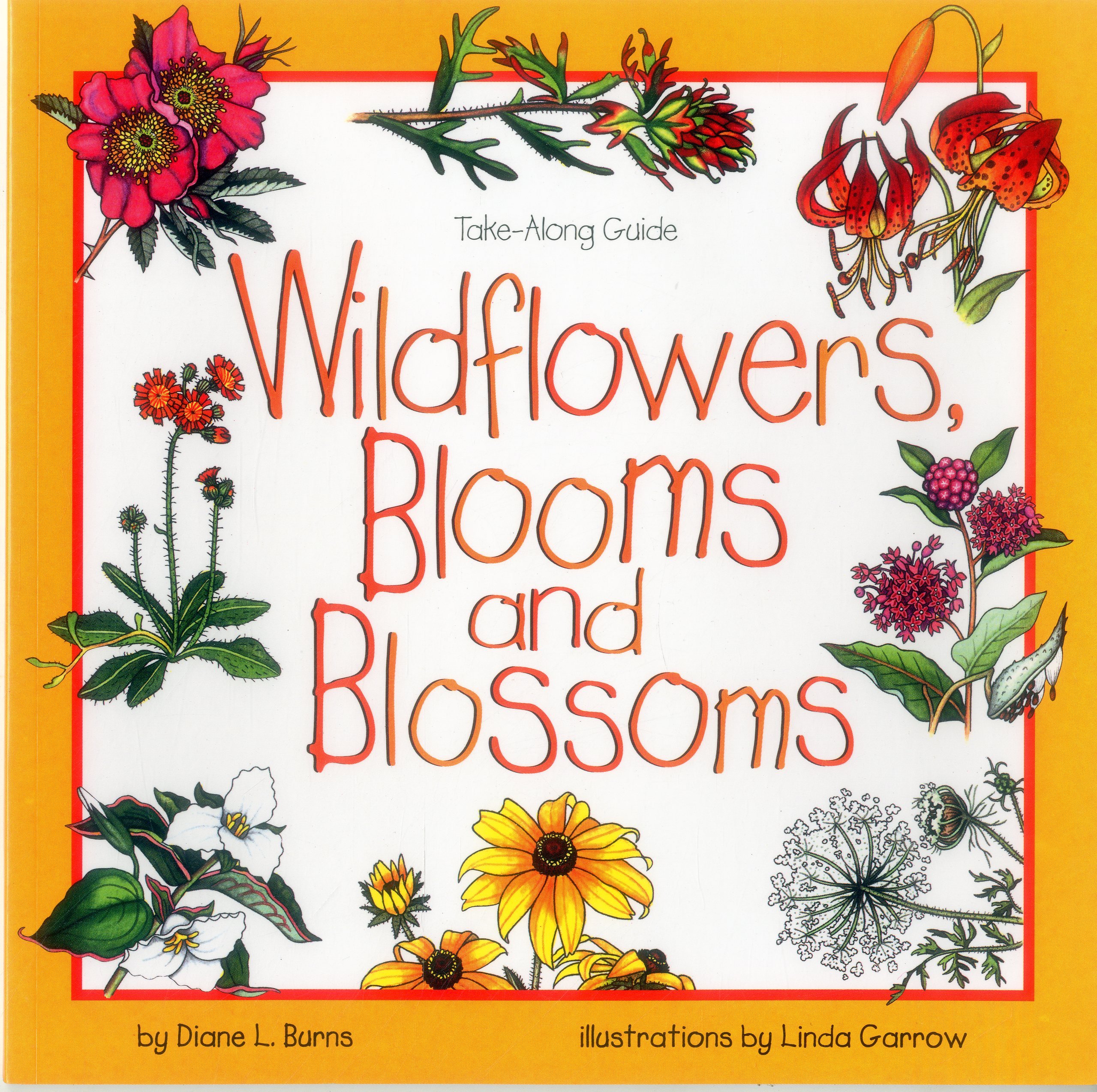 Wildflowers, Blooms & Blossoms (Take Along Guides)