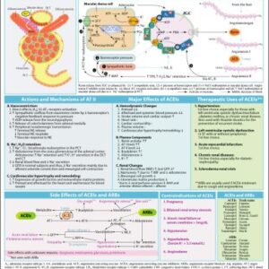 MemoCharts Pharmacology: The renin and angiotensin system (Review chart)