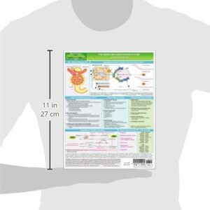 MemoCharts Pharmacology: The renin and angiotensin system (Review chart)