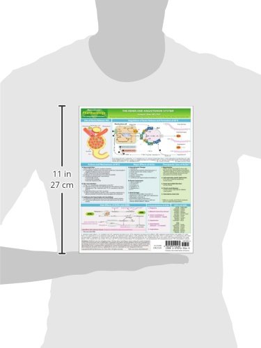 MemoCharts Pharmacology: The renin and angiotensin system (Review chart)