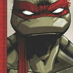 Teenage Mutant Ninja Turtles: The IDW Collection Volume 1 (TMNT IDW Collection)