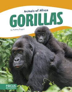 gorillas (animals of africa (paperback set of 10))