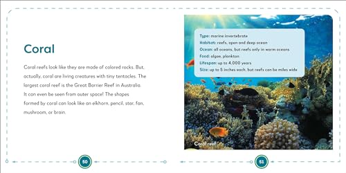 My First Book of Ocean Animals: All About Marine Wildlife for Kids