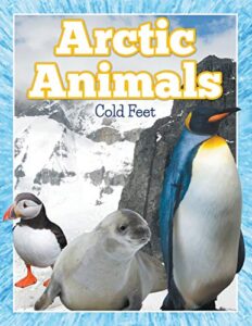 arctic animals (cold feet)