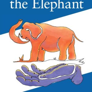 Touching the Elephant