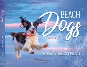 beach dogs: a coffee table photography book of joy for dog lovers