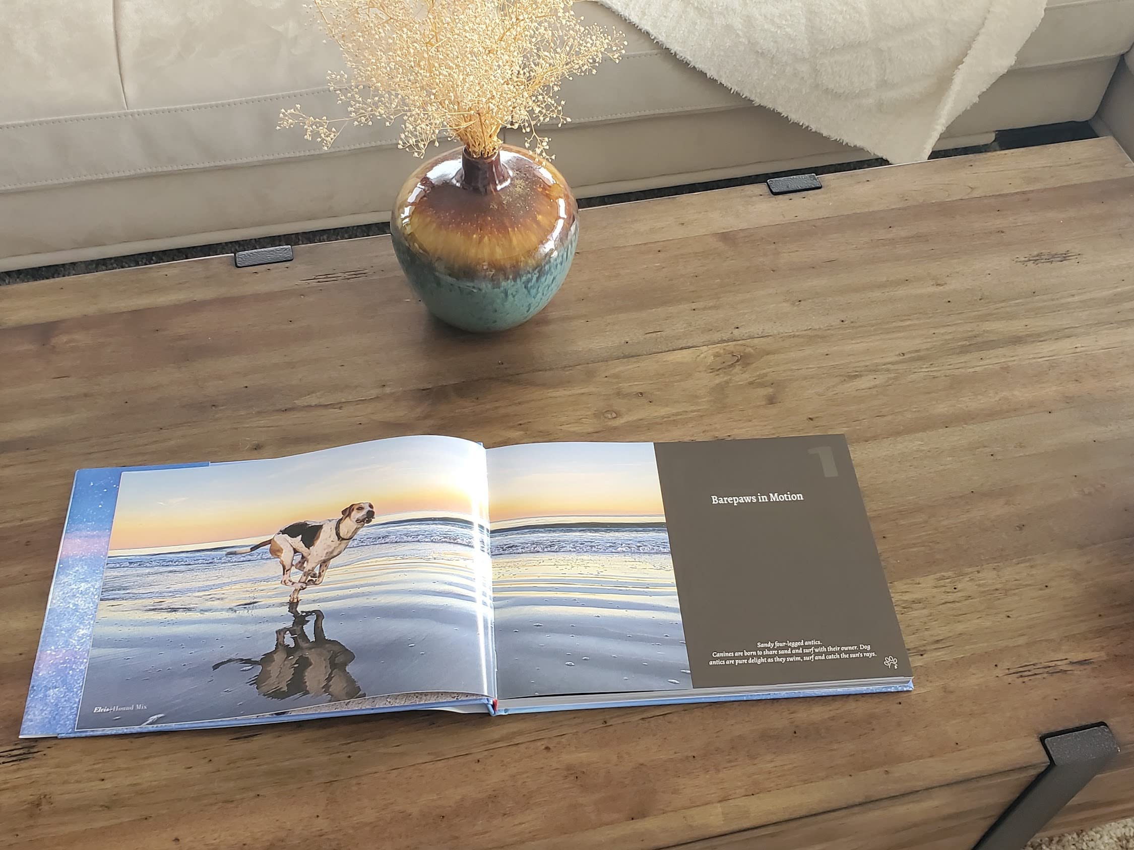 BEACH DOGS: A Coffee Table Photography Book of Joy for Dog Lovers