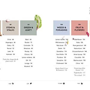 Root to Bloom: A Modern Guide to Whole Plant Use