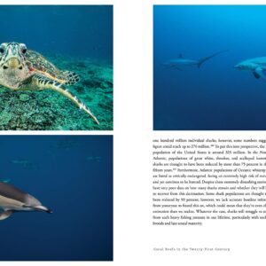 The World Beneath: The Life and Times of Unknown Sea Creatures and Coral Reefs