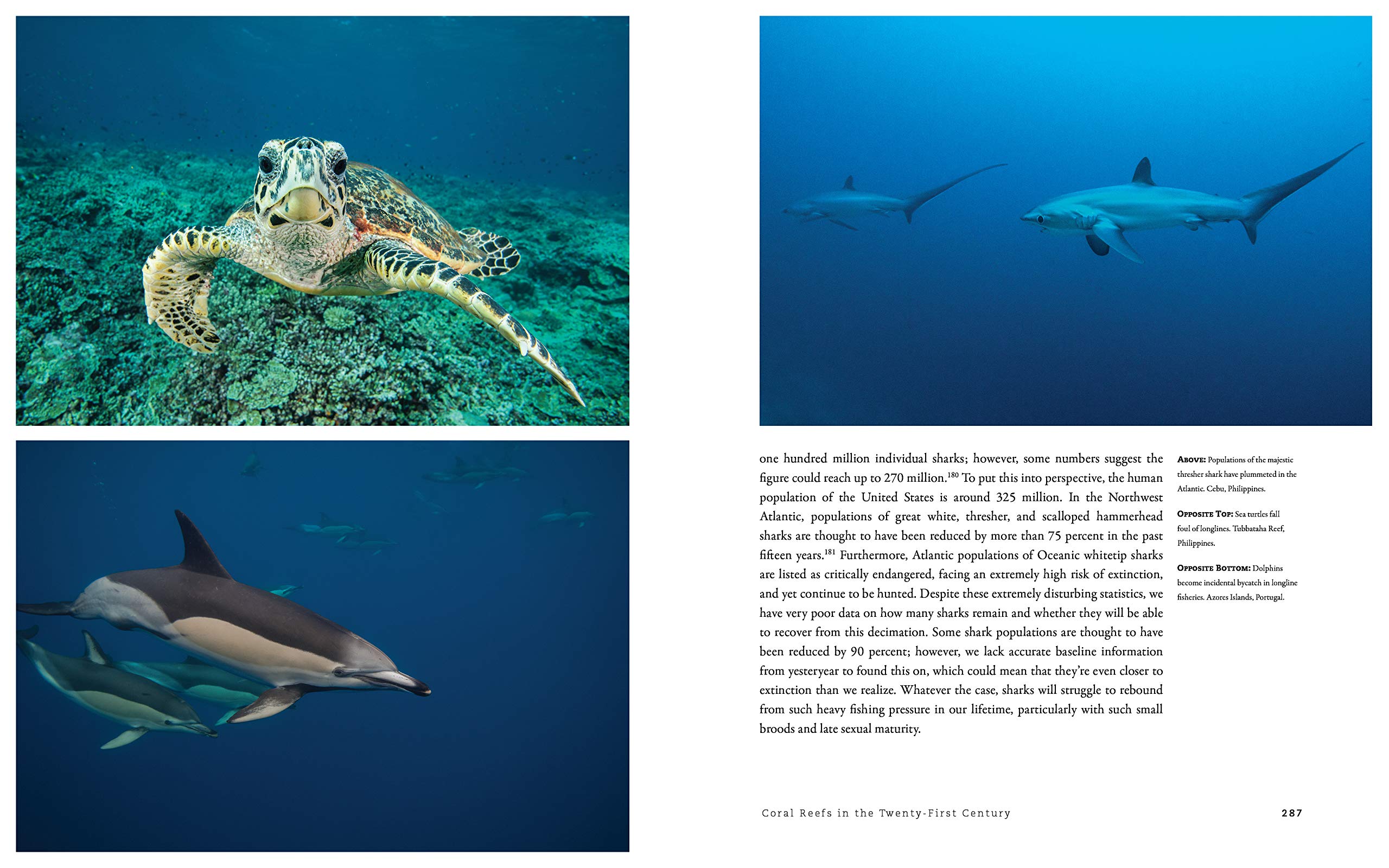 The World Beneath: The Life and Times of Unknown Sea Creatures and Coral Reefs