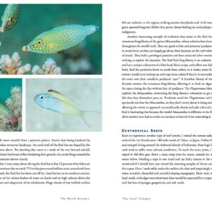 The World Beneath: The Life and Times of Unknown Sea Creatures and Coral Reefs