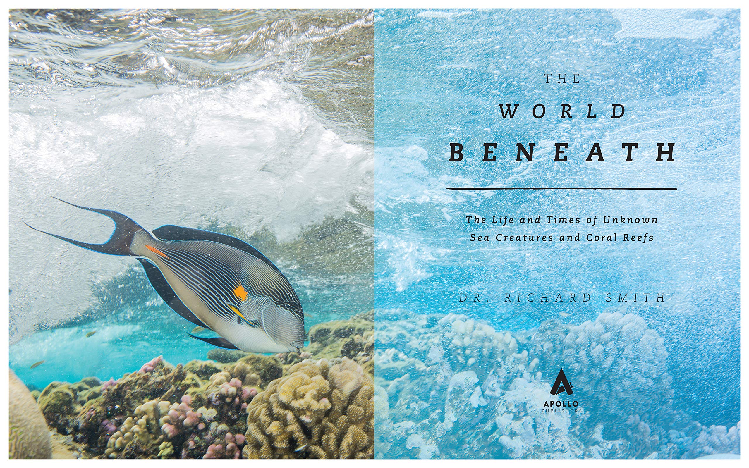 The World Beneath: The Life and Times of Unknown Sea Creatures and Coral Reefs