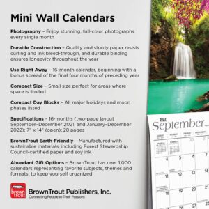 Hummingbirds 2022 7 x 7 Inch Monthly Mini Wall Calendar, Animals Wildlife Nature