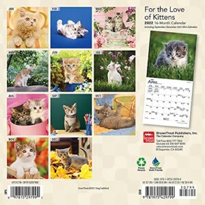 For the Love of Kittens 2022 7 x 7 Inch Monthly Mini Wall Calendar with Foil Stamped Cover, Animals Cats Feline