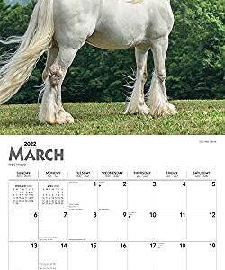 Horse Lovers 2022 12 x 12 Inch Monthly Square Wall Calendar with Foil Stamped Cover, Animals Equestrian