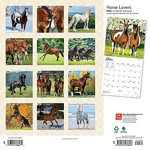 Horse Lovers 2022 12 x 12 Inch Monthly Square Wall Calendar with Foil Stamped Cover, Animals Equestrian