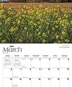 Maryland Wild & Scenic 2022 12 x 12 Inch Monthly Square Wall Calendar, USA United States of America Southeast State Nature