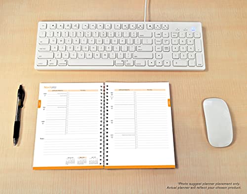 Happy Hues 2022 6 x 7.75 Inch Weekly Desk Planner by Plato, Fashion Designer Stationery