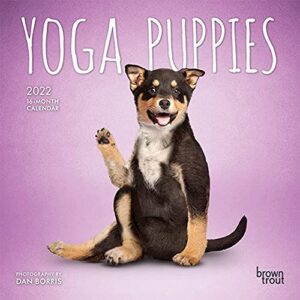 yoga puppies official 2022 7 x 7 inch monthly mini wall calendar, animals humor puppy dogs canine