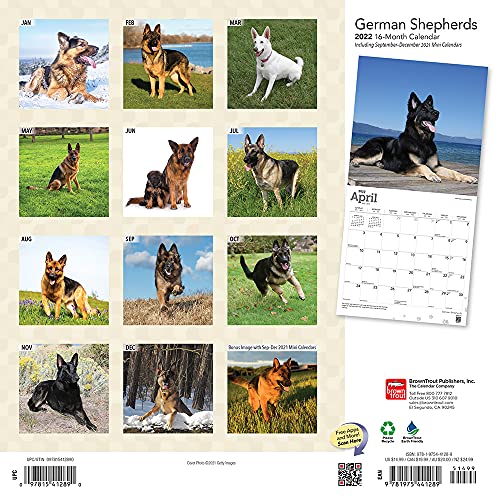 German Shepherds 2022 12 x 12 Inch Monthly Square Wall Calendar with Foil Stamped Cover, Animals Dog Breeds DogDays