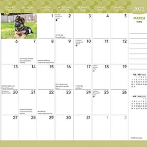 I Love Puppies Jadore les Chiots 2022 3.5 x 6.5 Inch Two Year Monthly Pocket Planner, Dogs Pets Canine