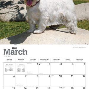 West Highland White Terriers 2022 12 x 12 Inch Monthly Square Wall Calendar with Foil Stamped Cover, Animals Dog Breeds Puppies DogDays