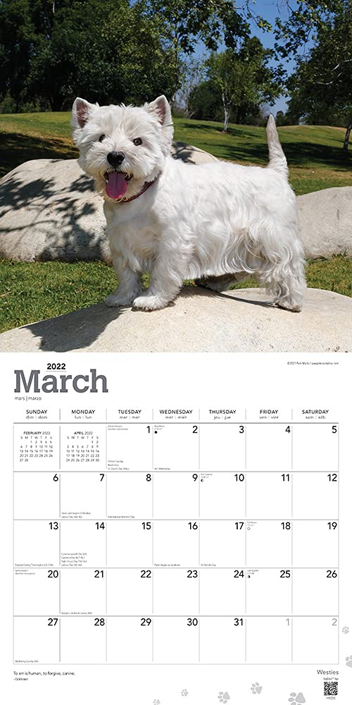 West Highland White Terriers 2022 12 x 12 Inch Monthly Square Wall Calendar with Foil Stamped Cover, Animals Dog Breeds Puppies DogDays