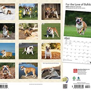 For the Love of Bulldogs 2022 14 x 12 Inch Monthly Deluxe Wall Calendar with Foil Stamped Cover, Animal Dog Breeds DogDays