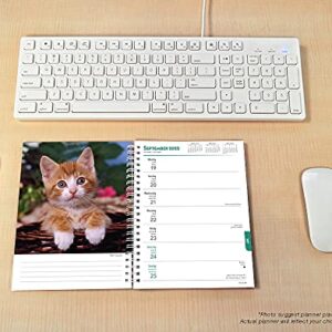 Kittens 2022 6 x 7.75 Inch Spiral-Bound Wire-O Weekly Engagement Planner Calendar | New Full-Color Image Every Week | Animals Cats Pets