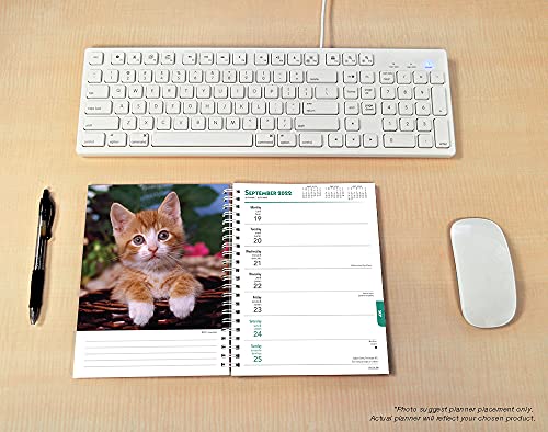 Kittens 2022 6 x 7.75 Inch Spiral-Bound Wire-O Weekly Engagement Planner Calendar | New Full-Color Image Every Week | Animals Cats Pets