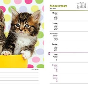 Kittens 2022 6 x 7.75 Inch Spiral-Bound Wire-O Weekly Engagement Planner Calendar | New Full-Color Image Every Week | Animals Cats Pets