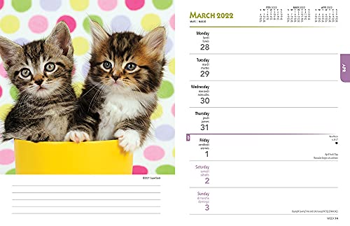 Kittens 2022 6 x 7.75 Inch Spiral-Bound Wire-O Weekly Engagement Planner Calendar | New Full-Color Image Every Week | Animals Cats Pets