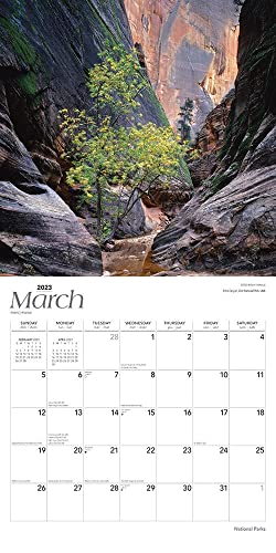 National Parks | 2023 12 x 24 Inch Monthly Square Wall Calendar | Foil Stamped Cover | BrownTrout | Scenic Yosemite Yellowstone Nature