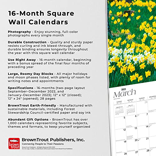 Ohio Nature | 2023 12 x 24 Inch Monthly Square Wall Calendar | Foil Stamped Cover | BrownTrout | USA United States of America Midwest State Nature